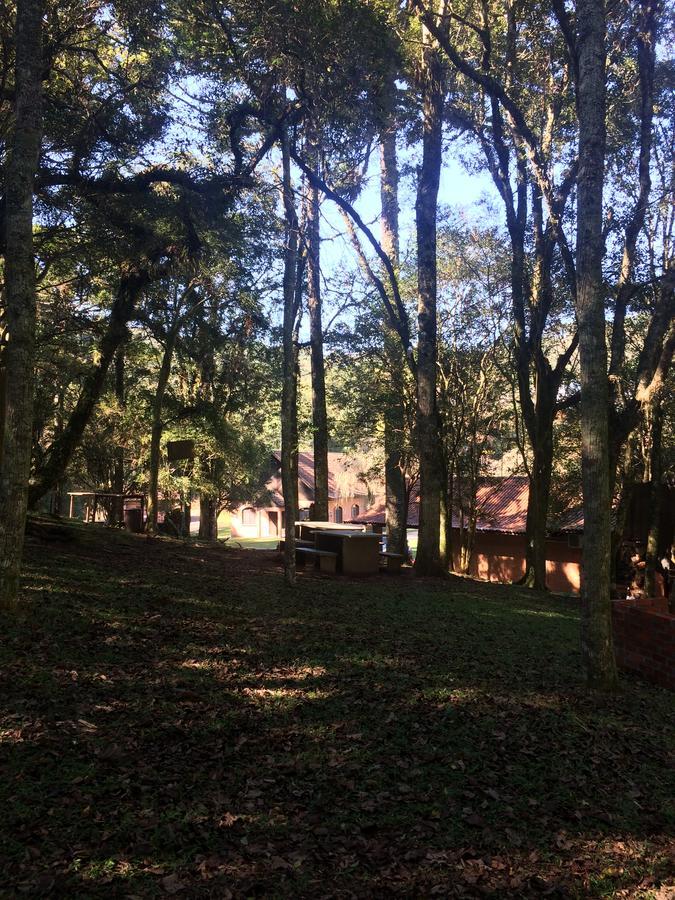 Pousada Parque Das Pitangueiras Flores da Cunha Eksteriør billede