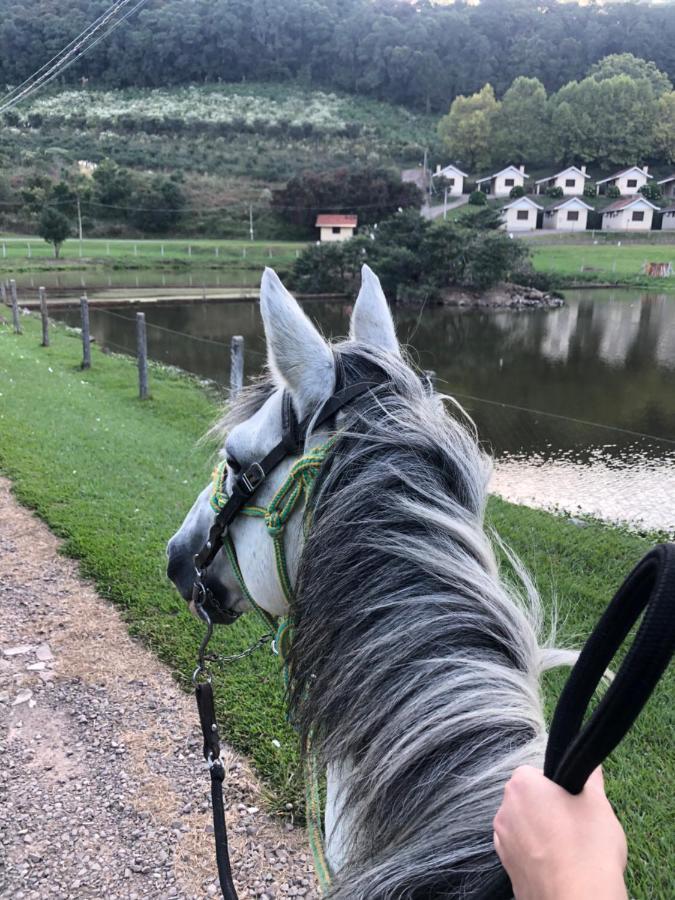 Pousada Parque Das Pitangueiras Flores da Cunha Eksteriør billede